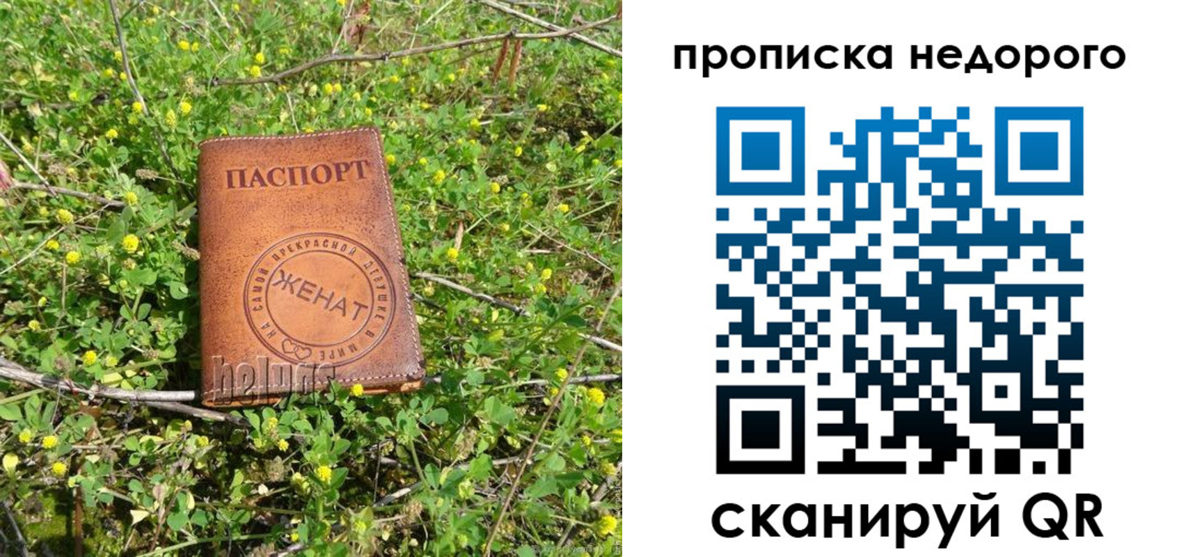 регистрация для дет. сада в Ивантеевке